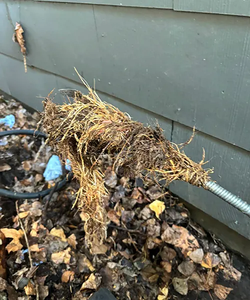 Side sewer spot repair and clean out installation in Shoreline 